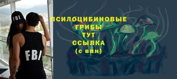 а пвп мука Болотное
