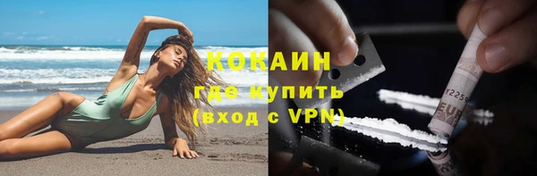 сатива Чегем