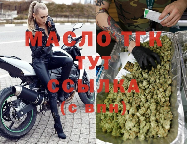 сатива Чегем
