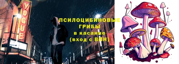 МДПВ Чердынь