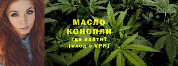 сатива Чегем