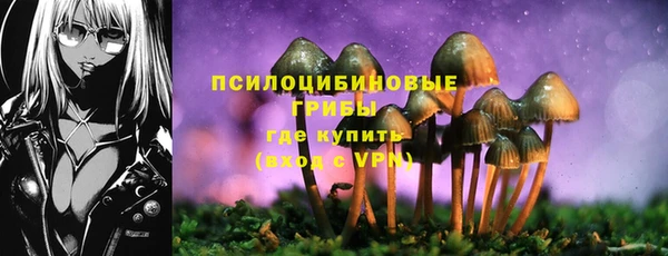 сатива Болохово