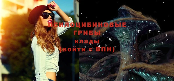 СК Болхов