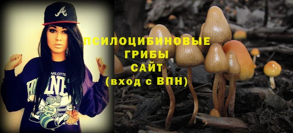а пвп мука Болотное