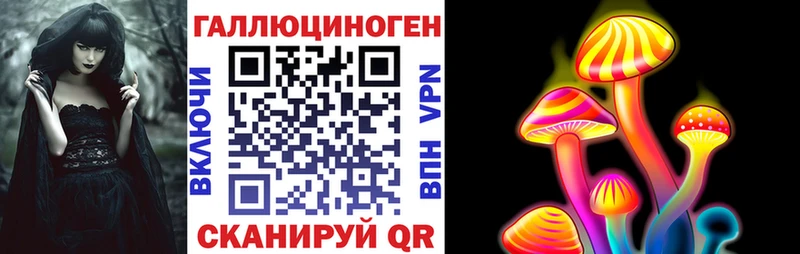 купить Безенчук Псилоцибиновые грибы MAGIC MUSHROOMS